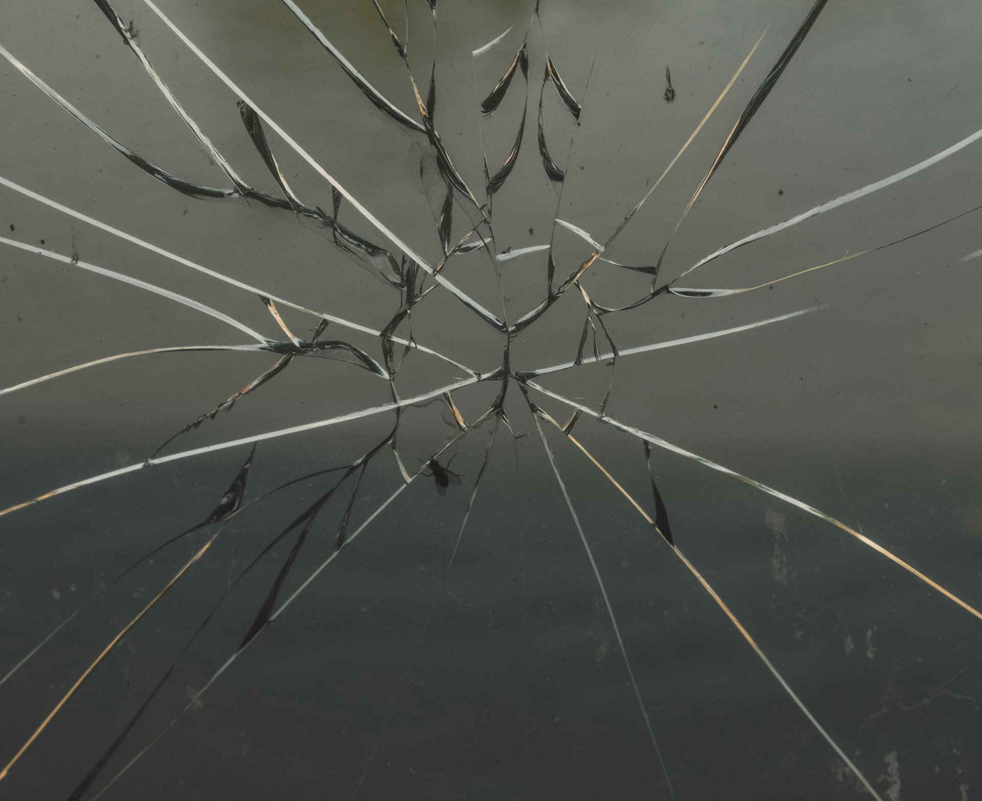 What the US aid freeze tells us about the struggles of Russian independent media