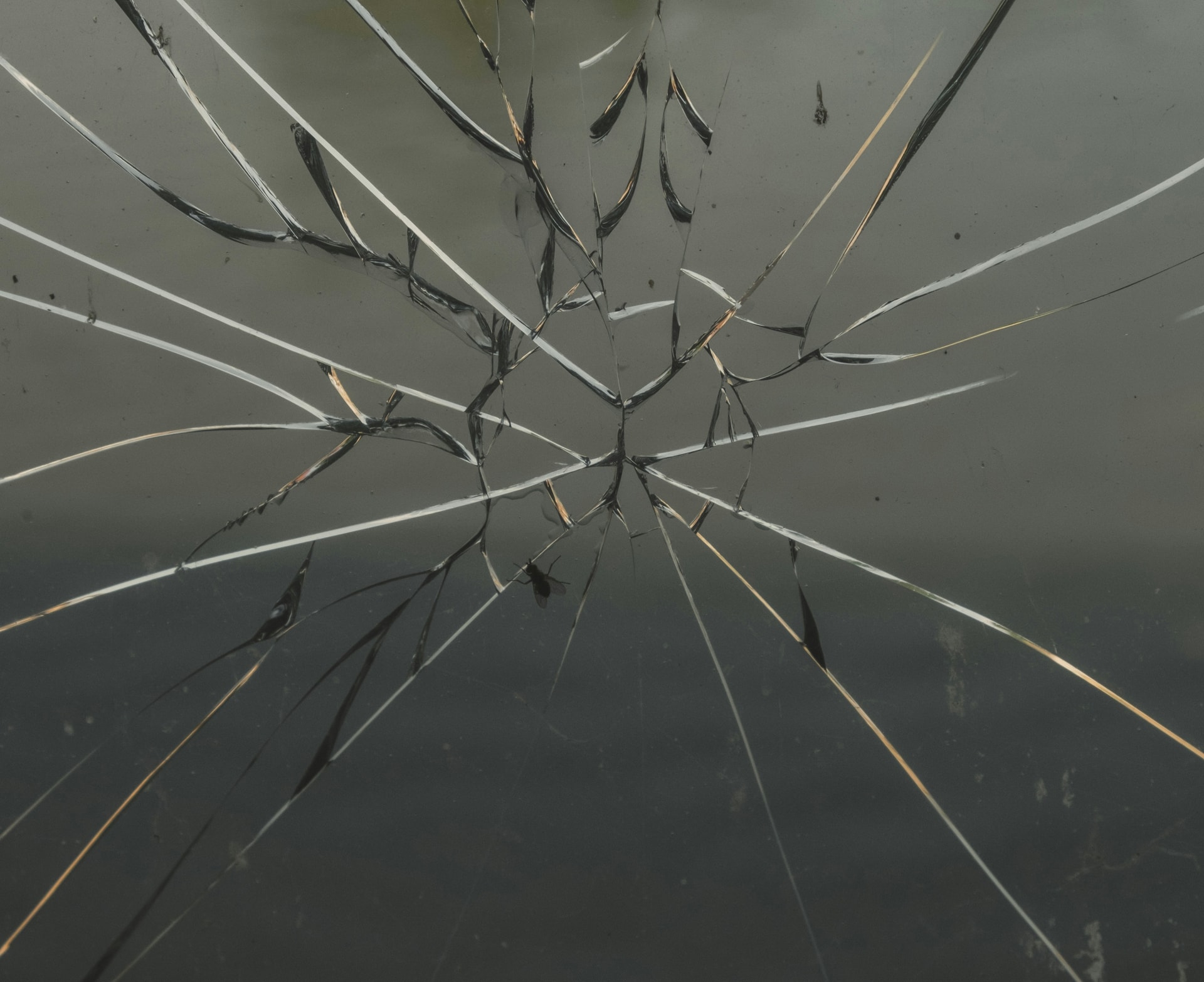 What the US aid freeze tells us about the struggles of Russian independent media